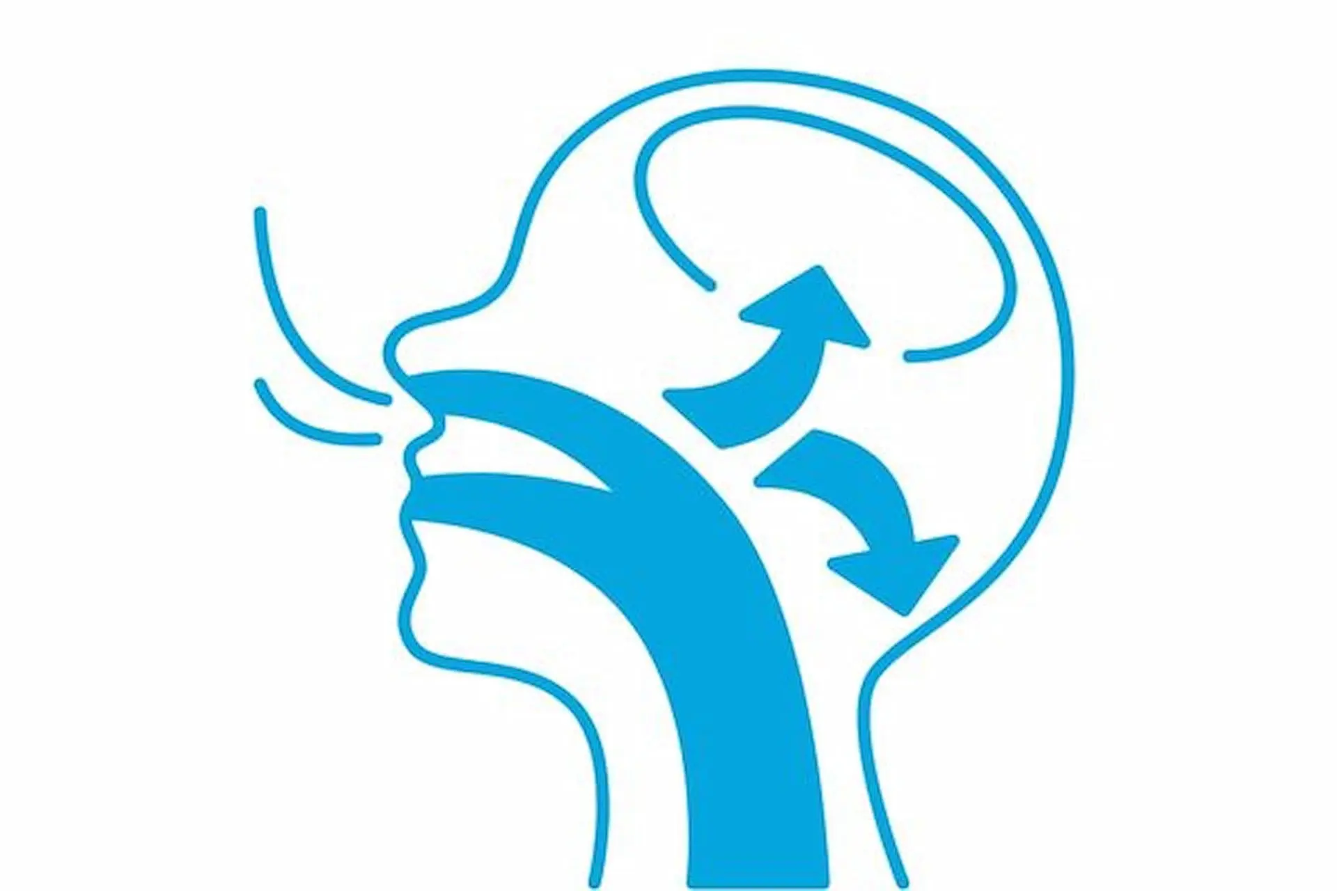 Diagram of a side view of a human head illustrating mouth breathing, showing the airflow path through the nose and mouth, with arrows indicating air movement toward the brain in Leominster and Gardner, MA